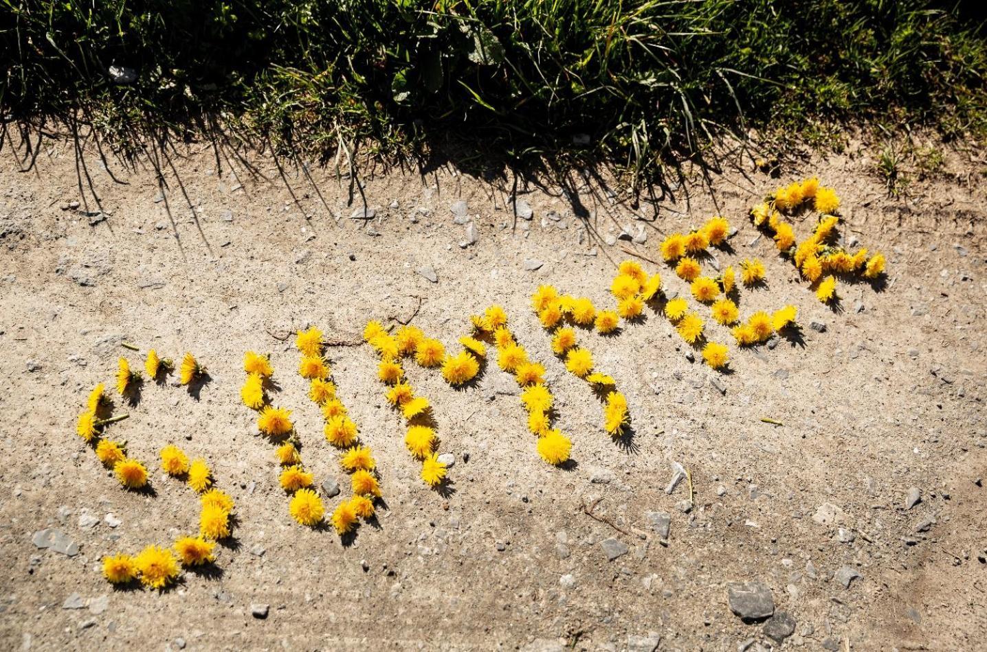 Villas ווינטרברג מראה חיצוני תמונה